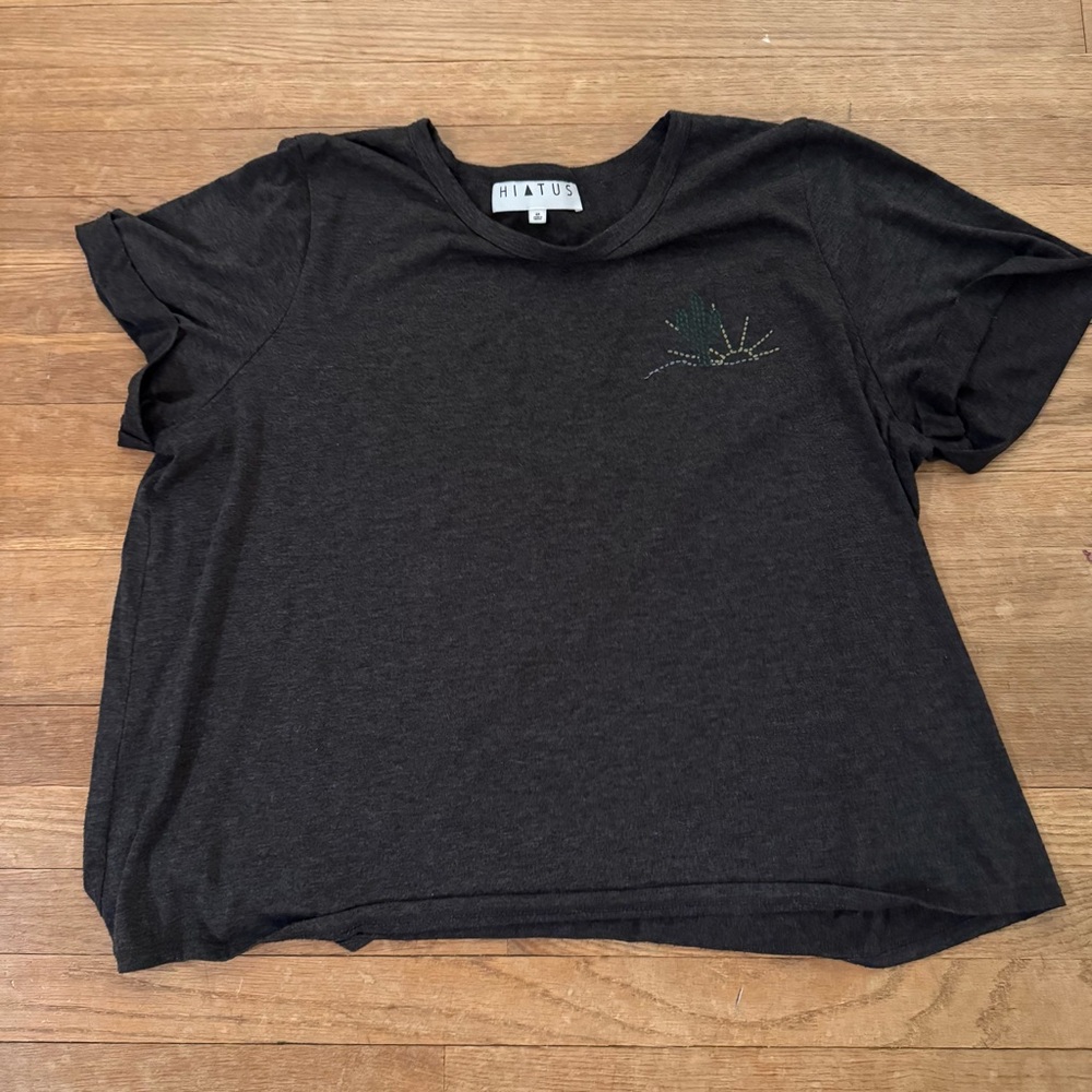 Hiatus gray short sleeve cactus sun T-shirt size 2X
 b58
